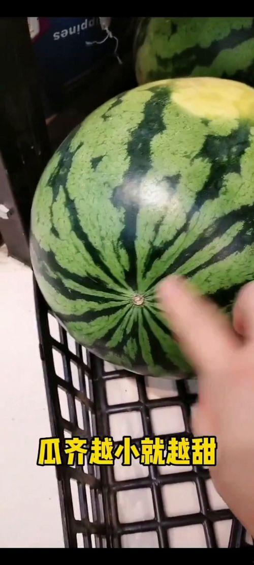 吃瓜季节又到了,盘点那些年我们一起“瓜”过的精彩瞬间