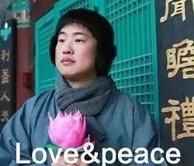 无辜吃瓜段景行,无辜吃瓜者的奇妙冒险之旅